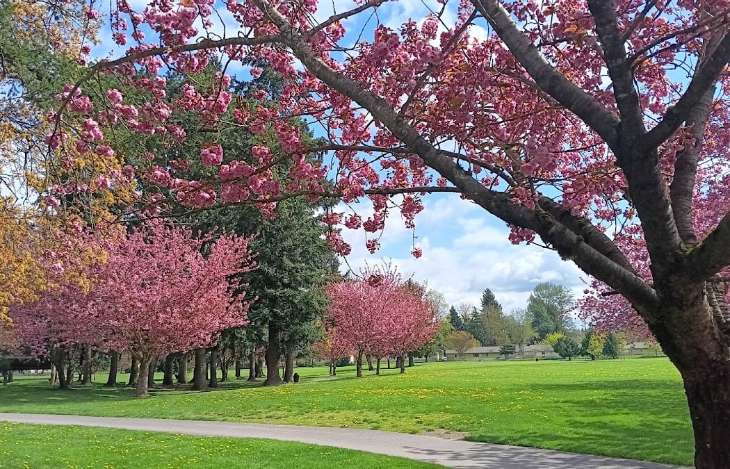 Les Gove Park 3
